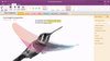Microsoft Office OneNote - Home and Student 2016 PC